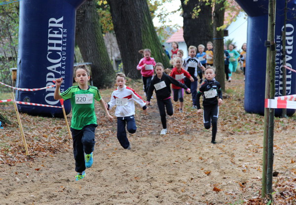 Lauf Schüler U11 am Sand